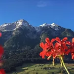 Rennerhof In The Lesach Valley Birnbaum